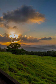 Tranquil Maleny