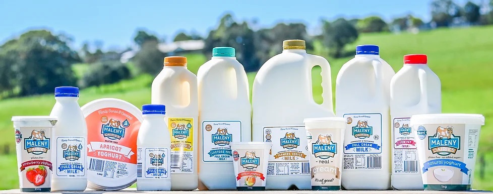 After the Maleny dairies Tour you can sample the product range