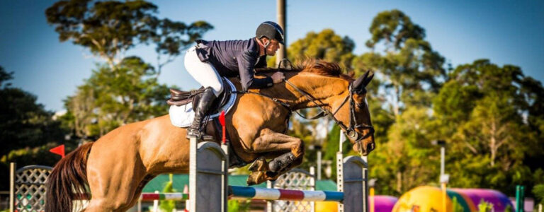 Horse Jumping at the Maleny Show