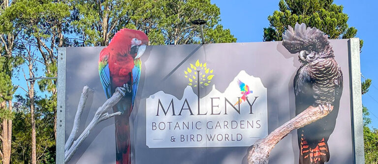 Maleny Botanical Gardens & Bird World.
