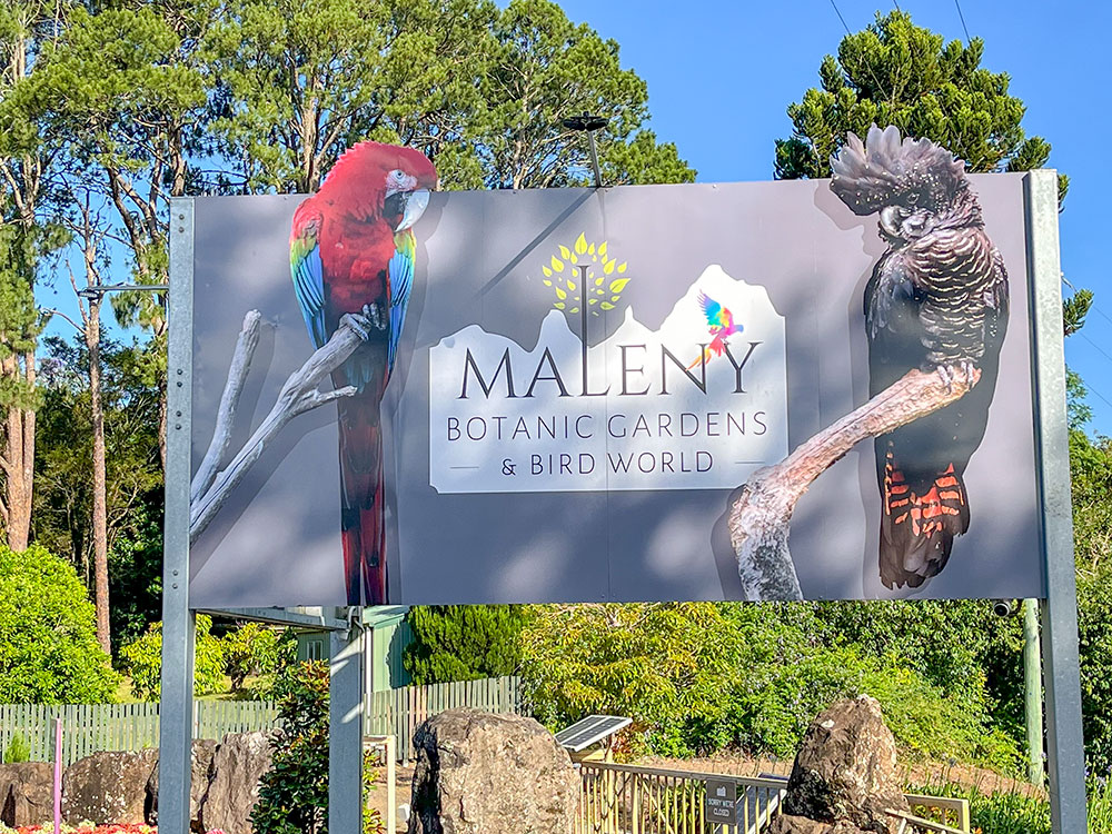 Visit Maleny Botanic gardens and Bird world