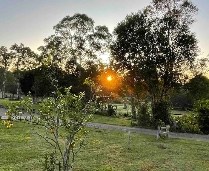 Sunrise at Bessie's Country Escape