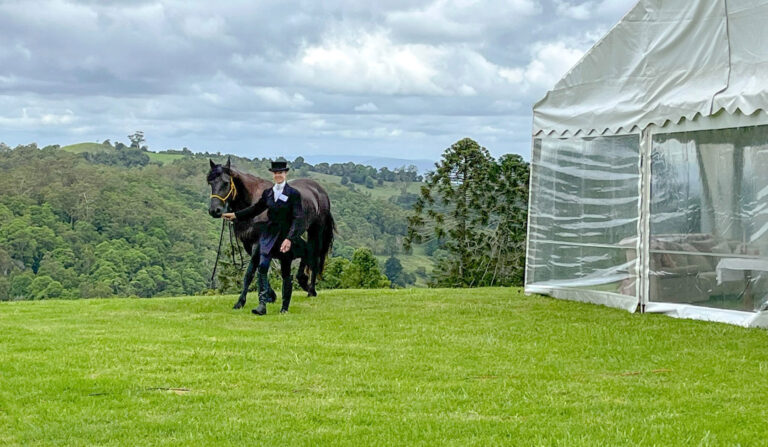 Maleny Wedding Festival