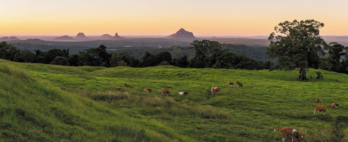 Maleny Dairies Sunshine coast Queensland