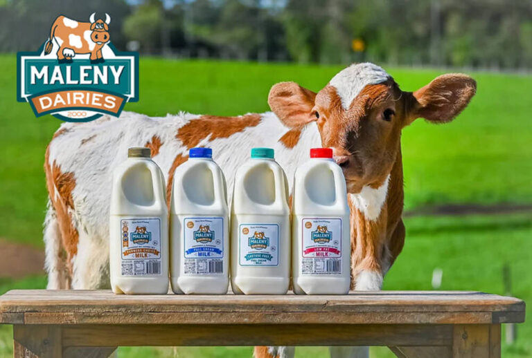 Spotlight on a Top Local Business: Maleny Dairies