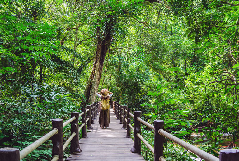 Eco Tourism : Maleny Leads the way in Queensland