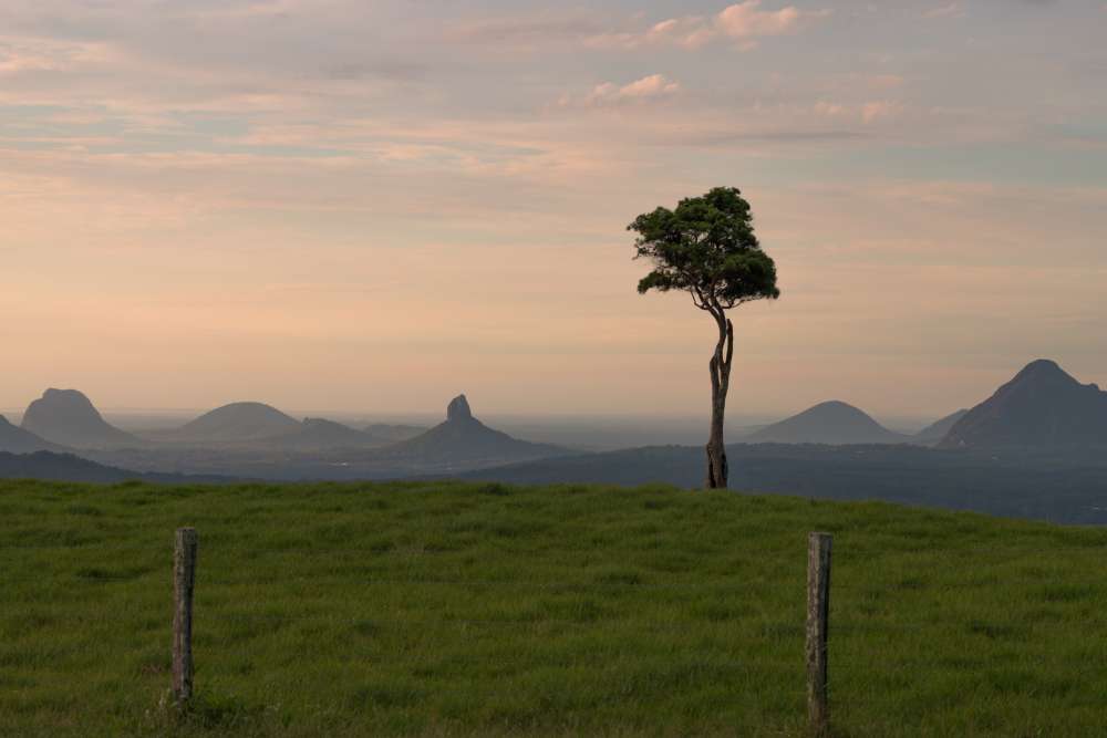 One Tree Hill Maleny